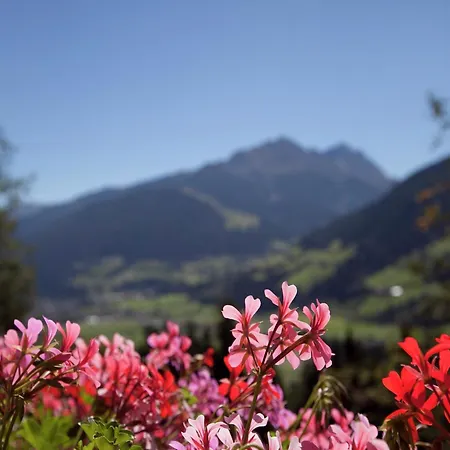 アパート Flat In Near Lift