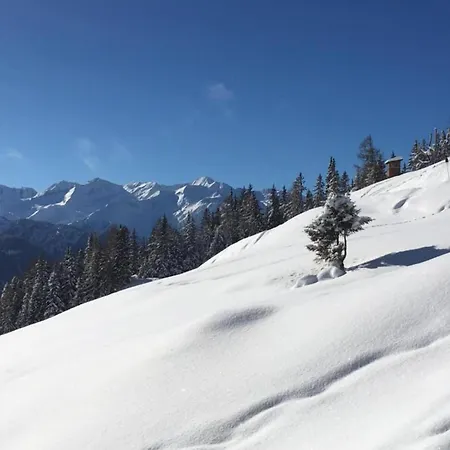 Flat In Near Lift * Mittersill