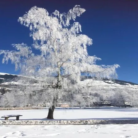 Apartment Flat In Near Lift