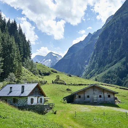 Flat In Near Lift