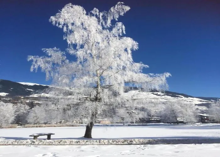 شقة Flat In Near Lift